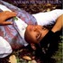 Narada Michael Walden, The Nature of Things mp3