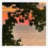 Jeff Tweedy, Starship Casual: Orbit Two mp3