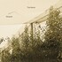 The Necks, Disquiet