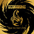 Scorpions, From The First Sting