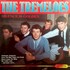 The Tremeloes, Silence Is Golden mp3
