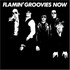 Flamin' Groovies, Now mp3