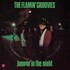 Flamin' Groovies, Jumpin' In The Night mp3