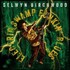 Selwyn Birchwood, Electric Swamp Funkin' Blues