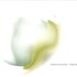Stefano Panunzi, Timelines mp3