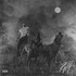 Koe Wetzel, The Night Champion