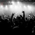 Dexter and The Moonrocks, Live From Dexter's Basement mp3