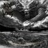 Arise From Worms, A Bleeding Tree Hanging Self Destruction