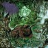 Frog Mallet, Consumed by Frogs