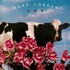 Marc Jordan, Cow mp3