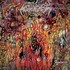 Nothingness, Supraliminal mp3