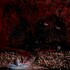 Nothingness, The Hollow Gaze of Death mp3