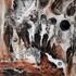 Saprovore, Numinous Abditory Deflagration