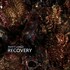 Matt Lange, Recovery