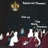 Squirrel Flower, Live at Top Note Theatre