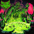 Slime Dimension, Slime Dimension