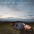 Katie Pruitt, Fools for the Fleeting