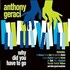 Anthony Geraci, Why Did You Have To Go mp3