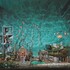 Bodega, All Inside Aquarium