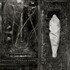 Wolves in the Throne Room, Estuary