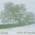 k.d. lang, Hymns of the 49th Parallel mp3