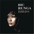 Bic Runga, Birds mp3