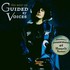 Guided by Voices, Human Amusements at Hourly Rates: The Best of Guided by Voices mp3