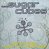 The Sugarcubes, Here Today, Tomorrow Next Week! mp3