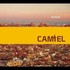 Camiel, Sunset mp3