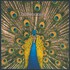 The Bluetones, Expecting to Fly mp3