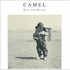 Camel, Dust and Dreams mp3