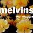 Melvins, The Maggot mp3