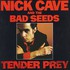 Nick Cave & The Bad Seeds, Tender Prey mp3