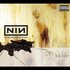 Nine Inch Nails, The Downward Spiral