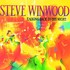 Steve Winwood, Talking Back to the Night mp3