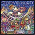 Steve Winwood, About Time mp3