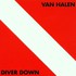 Van Halen, Diver Down