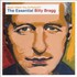 Billy Bragg, Must I Paint You a Picture? The Essential Billy Bragg mp3