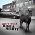Gov't Mule, High & Mighty mp3