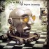 Gov't Mule, Life Before Insanity mp3
