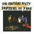 The Birthday Party, Prayers on Fire mp3
