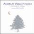 Andreas Vollenweider, Midnight Clear mp3