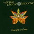 The String Cheese Incident, Untying the Not mp3
