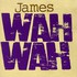 James, Wah Wah mp3