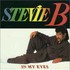 Stevie B, In My Eyes mp3