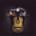 Various Artists, Punk Goes Acoustic 2