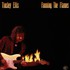 Tinsley Ellis, Fanning the Flames mp3