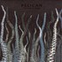 Pelican, City of Echoes mp3