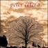 Peter Cetera, Another Perfect World mp3