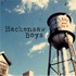 The Hackensaw Boys, Love What You Do mp3